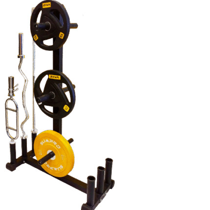 COMMERCIAL WEIGHT PLATE + BARBELLS RACK