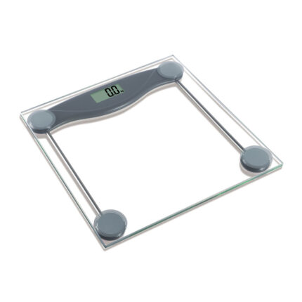 Electronic Personal Scale: EB9068 (Compact size design)