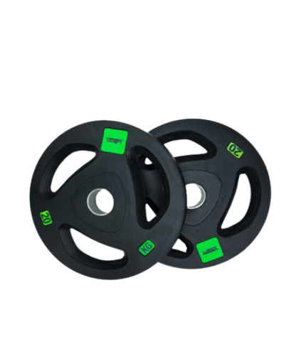 Olympic Rubber Coated Plate